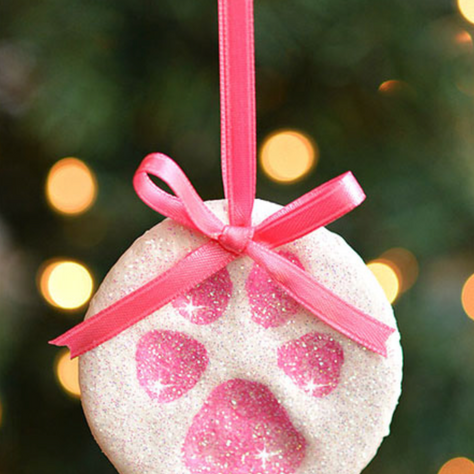 Top 10 Greatest Gifts for the Dog Lover In Your Life | 2018