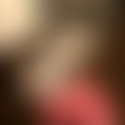 The 12 Dogs of Christmas