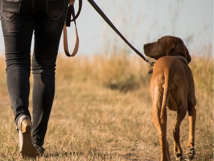 New Year, New Friends, New Wellbeing