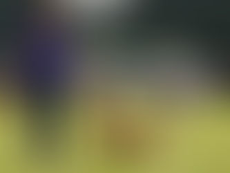 Event Volunteer Appeal