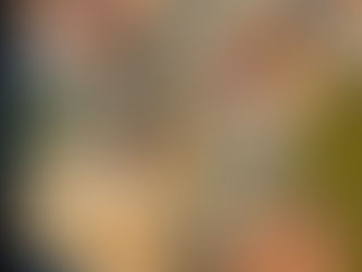 Lemon Garlic Chicken