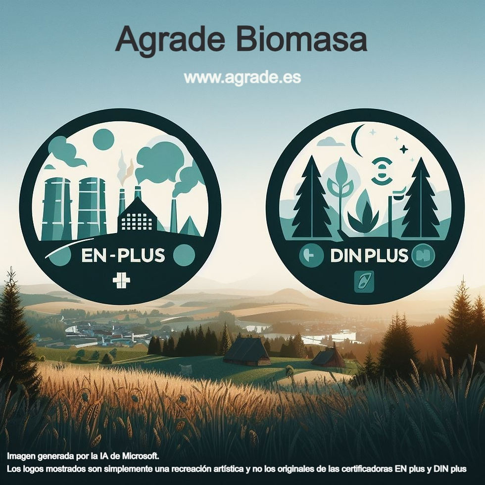 Recreación artística de las certificaciones ENplus y DIN plus