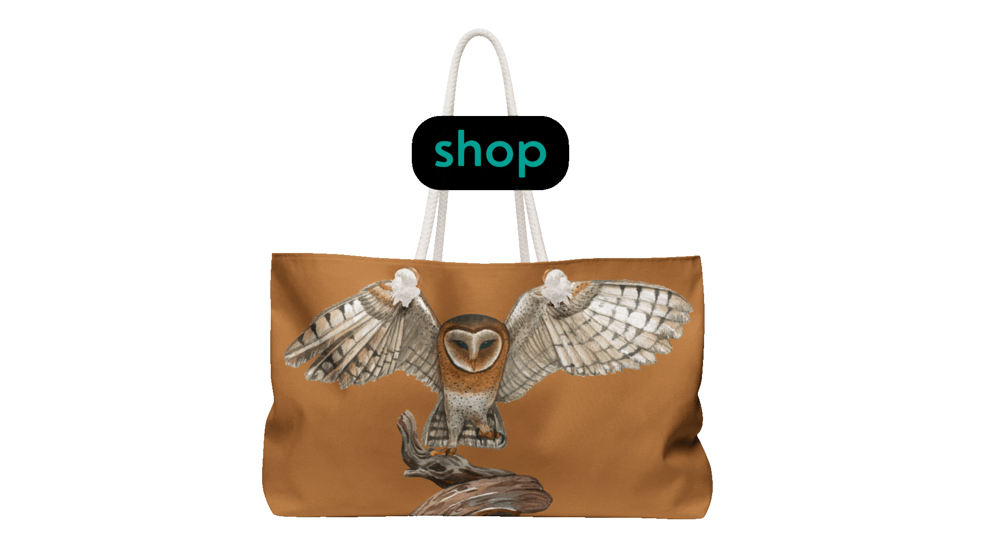 Barn Owl Gif for shop.gif