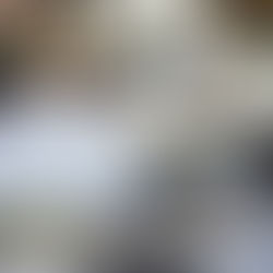 MY FAVOURITE PLACES -                WEST VANCOUVER 