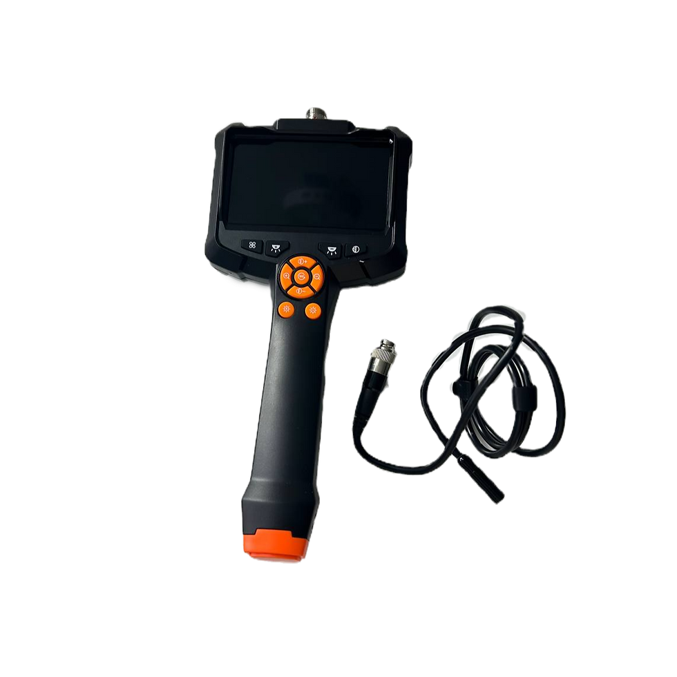 Cámara endoscópica