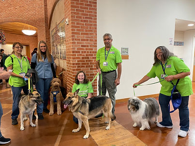 therapy dogs.jpg