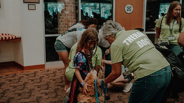 therapy dogs 1.JPG