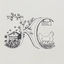 Writer: Kaki’s Coop