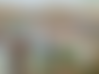 LA MISIÓN que DIOS NOS ENCARGA