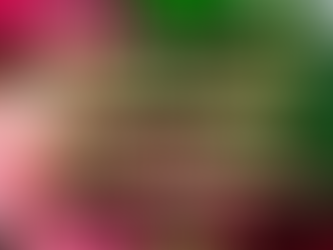 ALEJADOS DEL MUNDO, HACIENDO LA VOLUNTAD DE DIOS