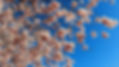 20220430_073846.jpg