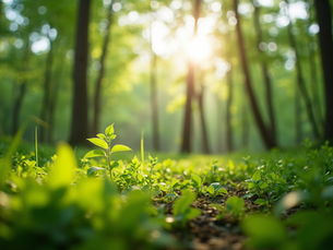 The Importance of Sustainable Living in Today's World
