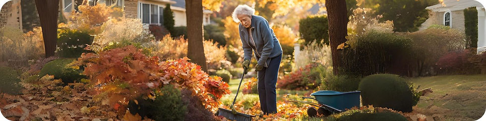 Image of a woman raking leaves in her yard next to a wheel barrow.