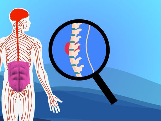 A digital illustration shows the muscular and nervous systems of a human body. The core muscles are highlighted in red and yellow at the center of the torso, while the spine and nerve pathways are shown in glowing blue extending outward. The background is a soft gradient, emphasizing the relationship between core strength and nerve protection. Ask ChatGPT