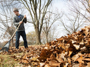 Fall Yard Work Tips: Preventing Injury as You Rake, Trim, and Lift