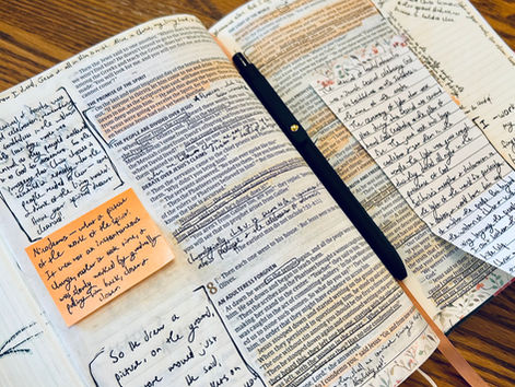 Guest Post! 'Reflections on the Cycle of Sin' by Sunny Chapin 