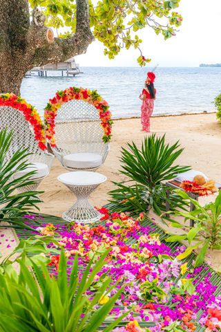 Un instant fleurit coloré