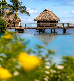 Manava Beach Resort & Spa - Mo'orea 2026 (49 sur 63).jpg