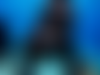 Langkawi Fun Dive Options: Choosing the Perfect Fun Dive Package in Langkawi