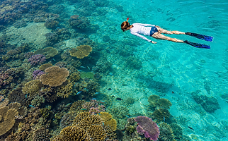 Payar snorkel