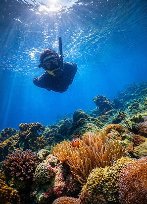 Snorkeling HDR_edited.jpg