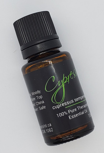 Cypress Essential Oil | Natural Concepts