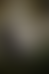 Favorite Middle Grade Dinosaur Books