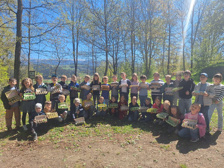 Entdeckungstour im Wald