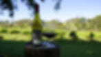 Wine tasting package Adelaide, Wine Tasting package Fleurieu Peninsula, Wine Tasting package Adelaide Hills, Wine tasting package South Australia,