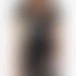 Cute koala in tree graphic t-shirt – Australian wildlife design from Magpie Springs, perfect souvenir or gift Adelaide Hills South Australia