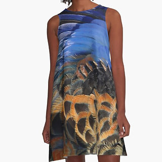 Dress shop with new dresses designed by South Australian Artist Avril Thomas at Magpie Springs