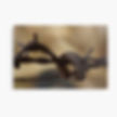 Thumbnail: Magpie Springs Mounted Art Prints for Sale