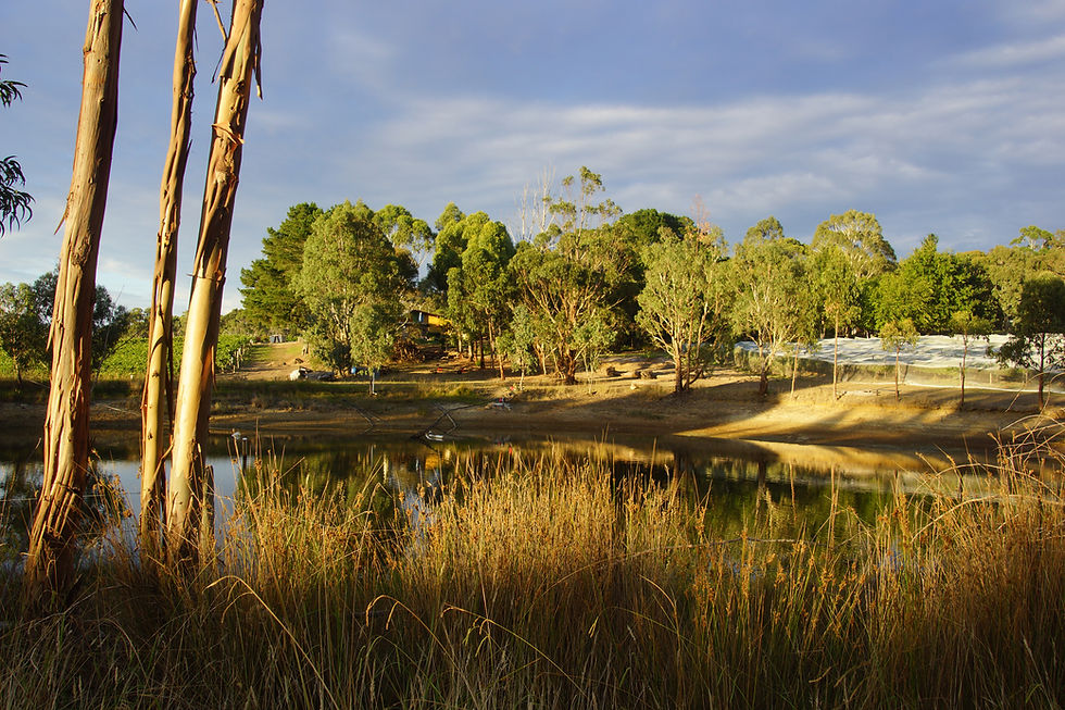 Discover the hidden gem of South Australia at Magpie Springs, a charming winery south of Adelaide and a standout winery on the Fleurieu Peninsula. Perfectly positioned as a winery near Willunga, winery Willunga Hill, and winery near McLaren Vale, this boutique winery between Willunga and Meadows sits at the winery Adelaide Hills southern end. It's an ideal winery close to Aldinga Beach, winery near Sellicks Beach, and part of the winery Kangarilla Road wine region—making it a relaxing winery day trip from Adelaide or winery close to Adelaide for locals and visitors alike. Explore this winery near Mount Compass along the winery Fleurieu wine trail, where scenic views and premium wines await in a true hidden gem south Australia.