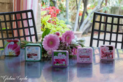 Harmonie Photo Nyons15