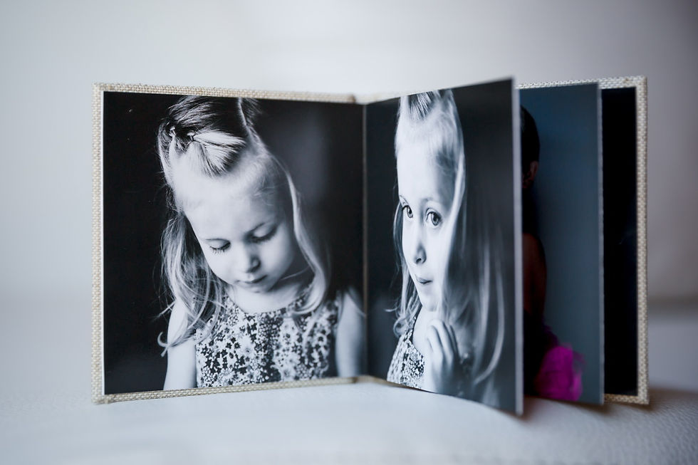 Els Mini-libros