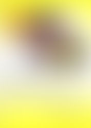 Тільки література!