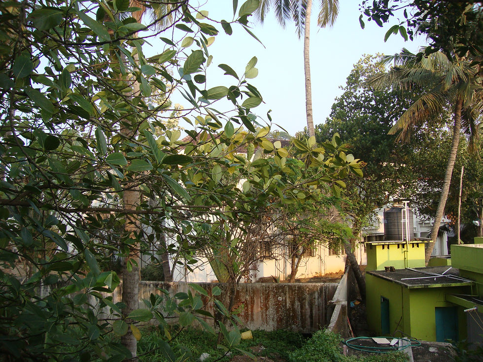 View 2
