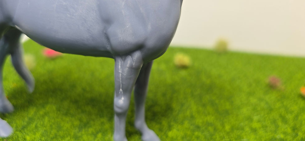 Miniaturbild: Rookie 1:20