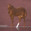 Miniaturbild: Shy