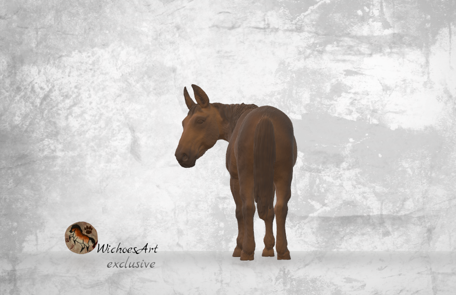 Miniaturbild: Charlotte lange Mähne | Semi-Exklusiv