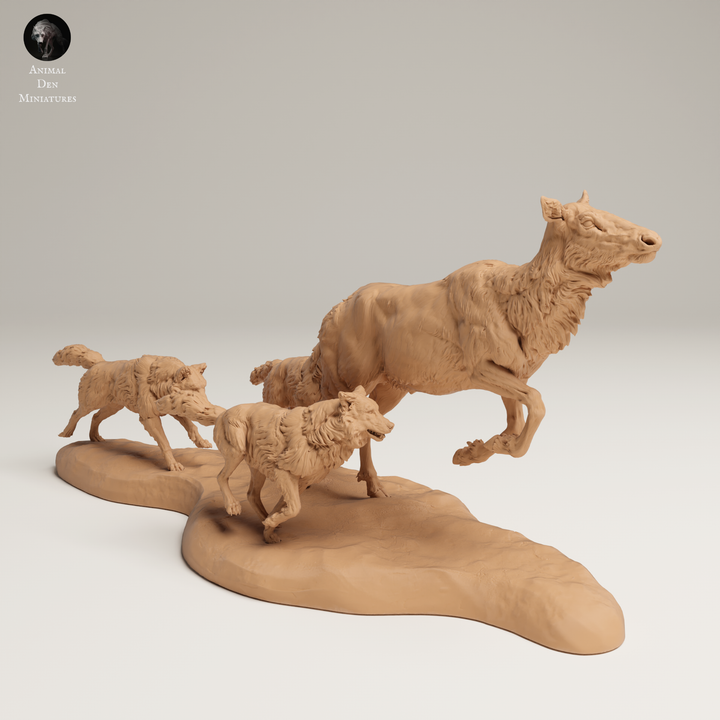 Thumbnail: Wölfe jagen Rocky-Mountain-Wapiti Kuh