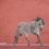 Miniaturbild: Rowdy - Mustang