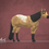 Miniaturbild: Isabella - Quarter Horse