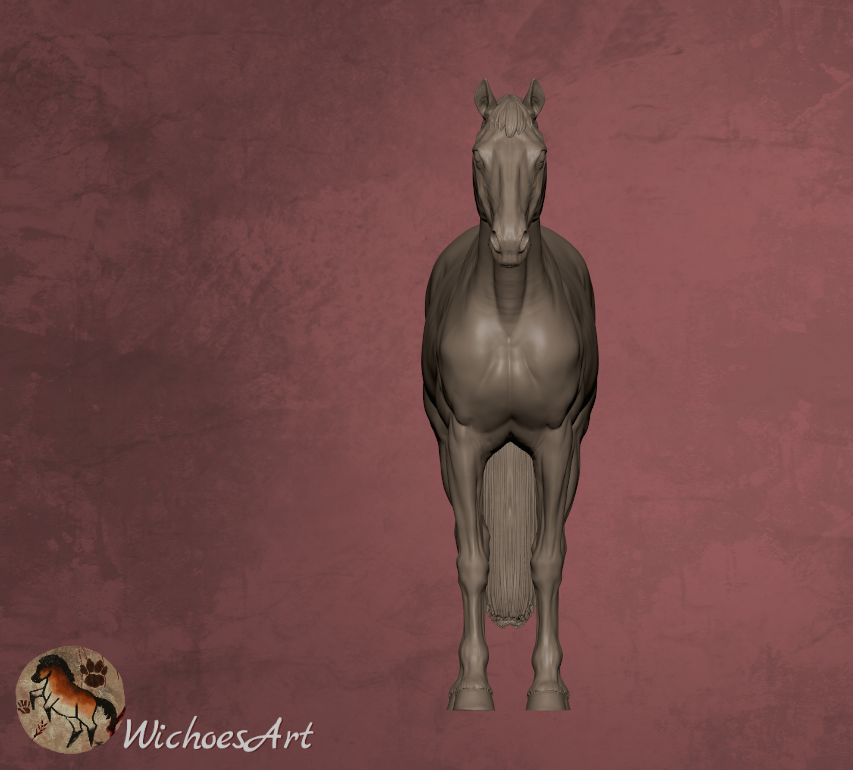 Thumbnail: Tuli - Hengst stehend