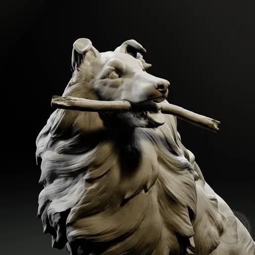 Miniaturbild: Chester - Collie