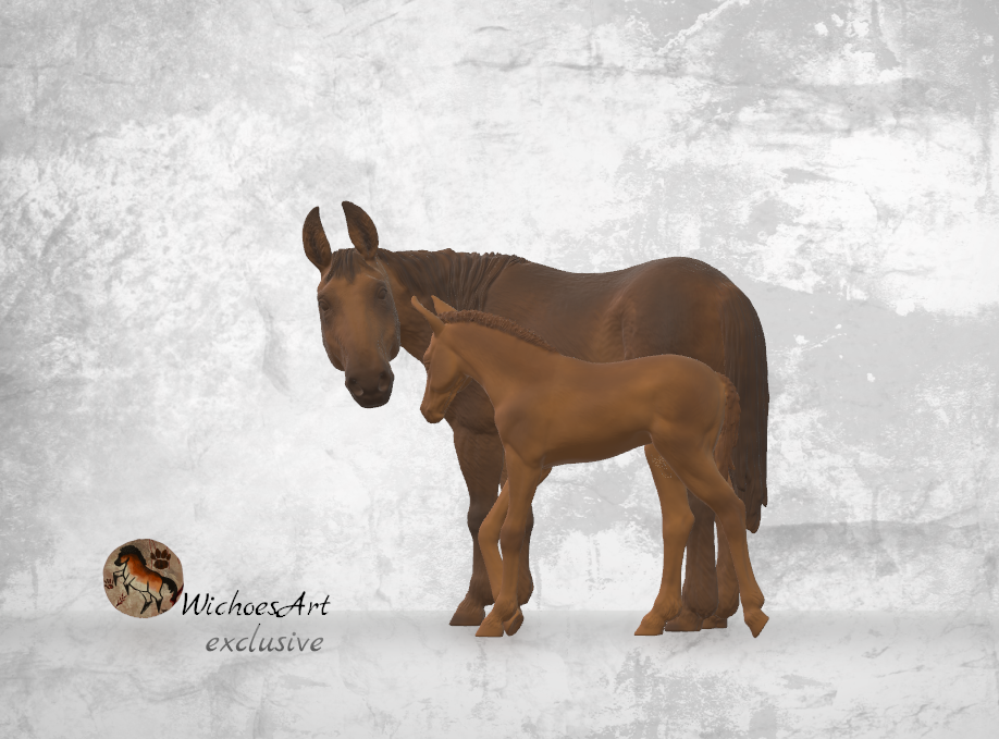 Miniaturbild: Charlotte & Miracle lange Mähne | Semi-Exklusiv