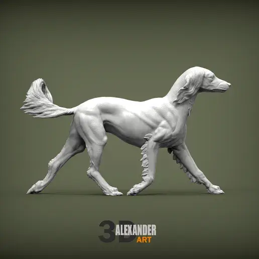 Thumbnail: Seoul - Saluki rennend