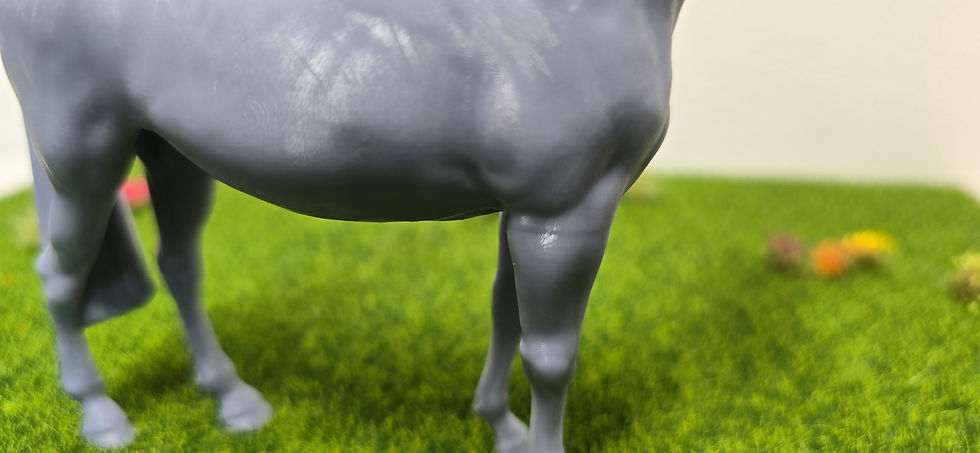 Miniaturbild: Cinnamon 1:20