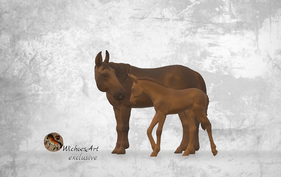 Miniaturbild: Charlotte & Miracle lange Mähne | Semi-Exklusiv