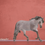 Miniaturbild: Rowdy - Mustang